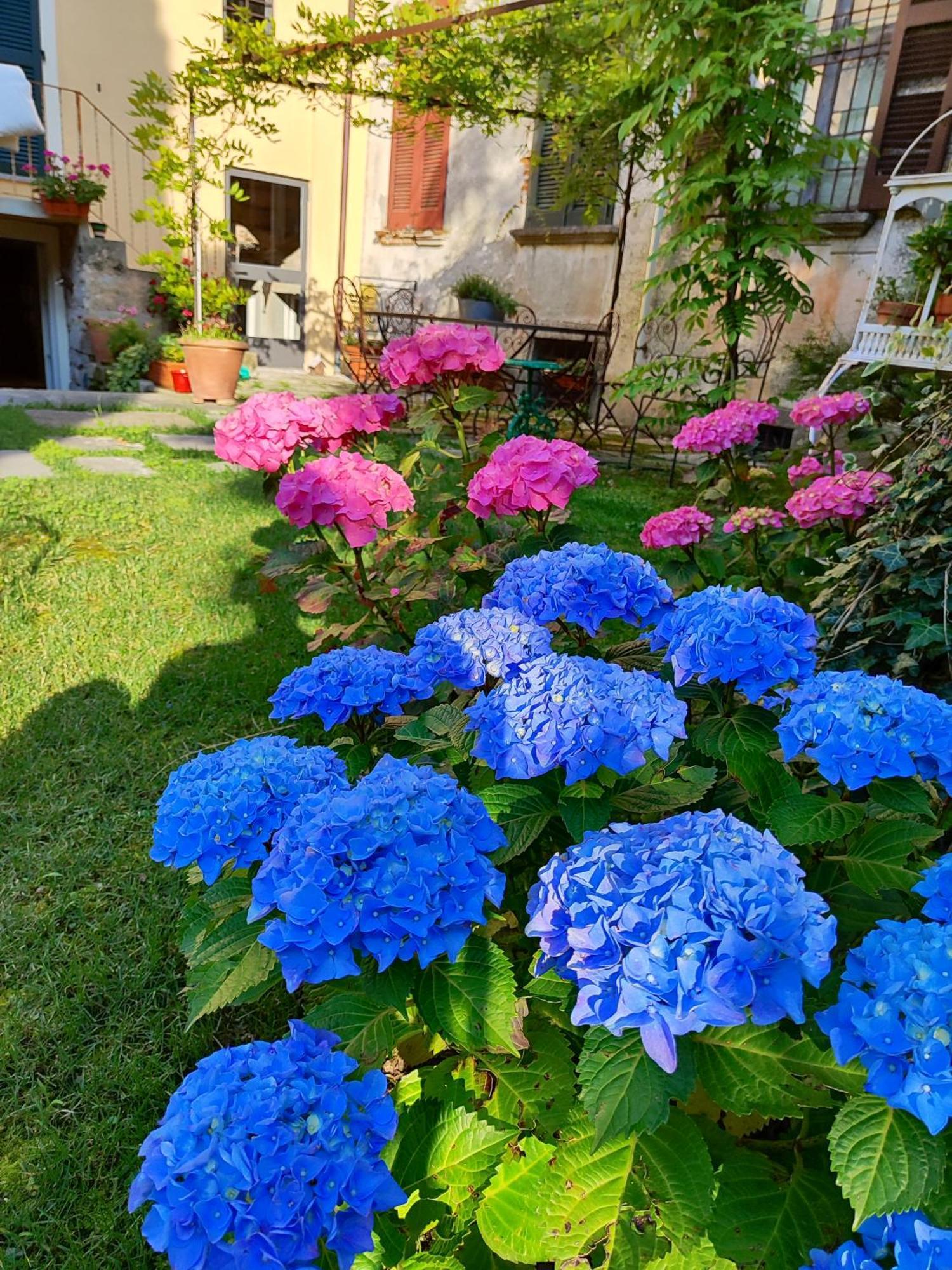 Casa Lumaca Bed and Breakfast Tremezzo Exteriör bild